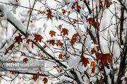 باران و برف در کمین تهران؛ هشدار کاهش ۵ درجه‌ای دما و احتمال یخبندان