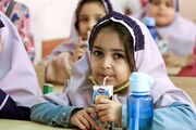 توزیع شیر مدارس در خراسان رضوی از ابتدای هفته آینده
