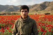 کتابخانه شخصی شهید «داریوش نوروزی» روشن بخش روستای چنار سفلی