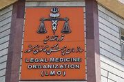 تاتوره‌ای که با اسفناج اشتباه گرفته شد؛ هشدار درباره گیاهان سمی
