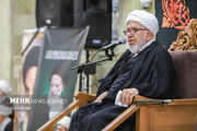 عندلیب: اخلاص، تقوا و دقت علمی از شاخصه‌های آیت‌الله شبیری زنجانی بود