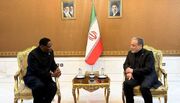 وزارت امور خارجه جمهوری اسلامی ایران- دیدار وزیر کابینه ریاست جمهوری نامیبیا با وزیر امور خارجه جمهوری اسلامی ایران