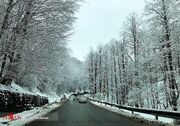 بارش پراکنده برف و باران در ۸ استان کشور