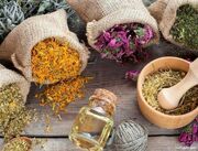 آنچه باید از تاثیر اقلیم بر انتخاب مواد غذایی بدانیم؛ بخشی از خوراکی‌های مفید در شمال یا جنوب ایران برای یک تهرانی مضر است