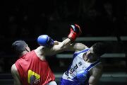 کرمانشاه قهرمان بوکس بزرگسالان کشور شد