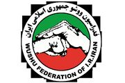 حمله خواهران منصوریان به رئیس فدراسیون ووشو و شکستن در اتاق رئیس/ خودزنی با چاقوی میوه‌خوری