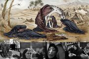 زنانِ کربلا چه کردند که ما از آن غافلیم؟/ در کربلا، زنها مدیر بحران بودند، نه تماشاگر