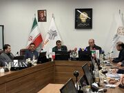 معوقات خودرو شاهین تا پایان امسال تعیین تکلیف می‌شود