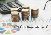 اصلاحیه «آیین‌نامه اجرایی پذیرش اوراق گام در دستگاه‌های اجرایی» ابلاغ شد