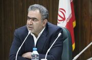 صنعت چوب و کاغذ؛ پیشران پنهان اقتصاد ایران