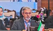 لزوم تقویت آمادگی مشترک، توسعه نوآوری‌های دارویی و تقویت همکاری‌های نظارتی در بریکس