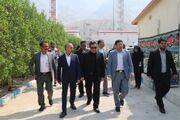 رئیس سازمان ثبت: هیچ دستور قضایی تولید را متوقف نمی‌کند/ کارگروه ویژه جهت صدور اسناد مالکیت مجتمع‌های پتروشیمی تشکیل می‌شود