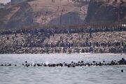شمار مهاجران جان‌باخته در سئوتا به ۶۷ نفر رسید