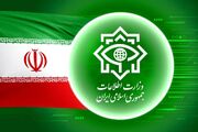 وزارت اطلاعات: ۲۱ مزدور در کرمان شناسایی و دستگیر شدند