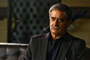رونمایی از تیزر فصل دوم «سرو سپید سرخ»؛ پخش از امشب در شبکه یک