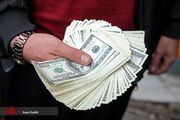 شمارش معکوس برای متخلفان ارزی؛ اسامی مخفف شرکت‌ها و افراد حقیقی با عدم ایفای تعهدات ارزی منتشر شد/ احکام و اسامی این افراد بعد از قطعیت در مرجع دادرسی قابل انتشار است