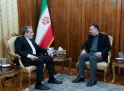 دیدار سفیر ایران در گرجستان با وزیر امور خارجه