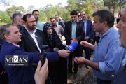 بازدید دادستان تهران از پارک جنگلی چیتگر؛ تأکید بر ساماندهی وضعیت آبیاری و جایگزینی درختان خشک شده