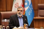 کمالوندی: منافع کشور را با اقتدار دنبال می‌کنیم