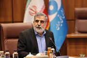 کمالوندی: ایران در حوزه ساخت نیروگاه‌های هسته‌ای به خودکفایی رسیده است/سرعت دادن به ساخت راکتورهای کوچک و مدولار