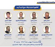 الگوی احیا و ارتقاء مرغ لاین آرین