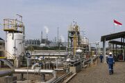 گام محدود اندونزی در مسیر کاهش وابستگی به واردات LPG