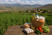 فشار تورمی بر سفره روستاییان شدیدتر از شهرها است