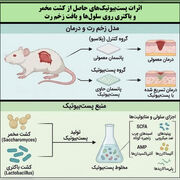 تقویت مسیر تجاری‌سازی محصولات بیولوژیکی در دانشگاه خوارزمی؛ حاصل فرصت مطالعاتی در جامعه و صنعت