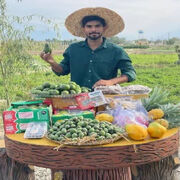 کارآفرینی دانشجوی خلاق دانشگاه علوم کشاورزی و منابع طبیعی گرگان با پرورش میوه‌های استوایی