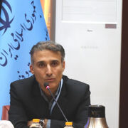 ضرورت ایجاد پل ارتباطی میان رشته‌های ورزشی و کمیته ملی المپیک برای حمایت از قهرمانان جوان