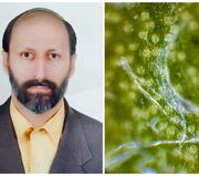 دستیابی به دانش فنی ۷ نانوکامپوزیت برای کاهش تنش آبی کشور توسط محققان دانشگاه صنعتی امیرکبیر