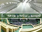 نشست کمیته اجتماعی و فرهنگی کمیسیون بودجه با مسئولان دولتی