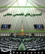 جزئیات ترور قضات دیوان عالی کشور هفته آینده در مجلس بررسی می‌شود