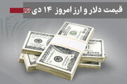 قیمت دلار و سایر ارزها امروز یکشنبه 14 دی 1404 +جدول