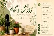 جادوی سبز؛ وقتی گیاهان با روح ما حرف می‌زنند