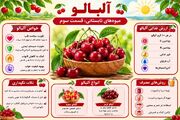 آلبالو؛ ترش و خوش‌رنگِ تابستان