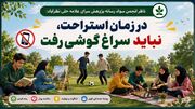در زمان استراحت، نباید سراغ گوشی رفت