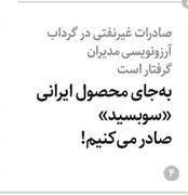 به جای محصول ایرانی «سوبسید» صادر می‌کنیم!