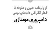 دامپروری مونتاژی