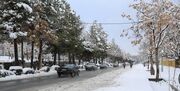 برف مهمان جاده های شمالی خراسان رضوی