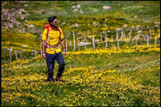 فصل جدید «ایرانگرد» نوروز ۱۴۰۴ می‌آید