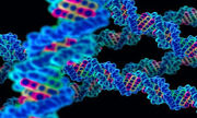 جوامع غربی ناگزیرند برای تایید اصالت خانوادگی از نوزادان تست «DNA» بگیرند