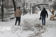 قاسمی:سرما و بارش برف خراسان رضوی را فرا می‌گیرد