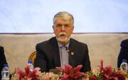 وزیر فرهنگ: کاریکاتور در ایران از نمادهای "ما می‌توانیم" است