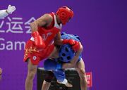 مسابقات آسیایی ناگویای ژاپن فرصتی برای حمایت از ووشوکاران استان است