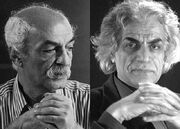 باباچاهی جنون شعر داشت