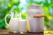 قیمت جدید شیر خام اعلام شد