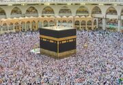 میراث بندگی و شکوه ولایت؛ واکاوی سیره معصومین(ع) در میقات حج