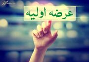 ۱۲ عرضه اولیه و یک غول پتروشیمی در راه بازار