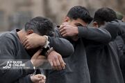 دستگیری دو سارق و یک نفر مالخر در شهرستان درمیان